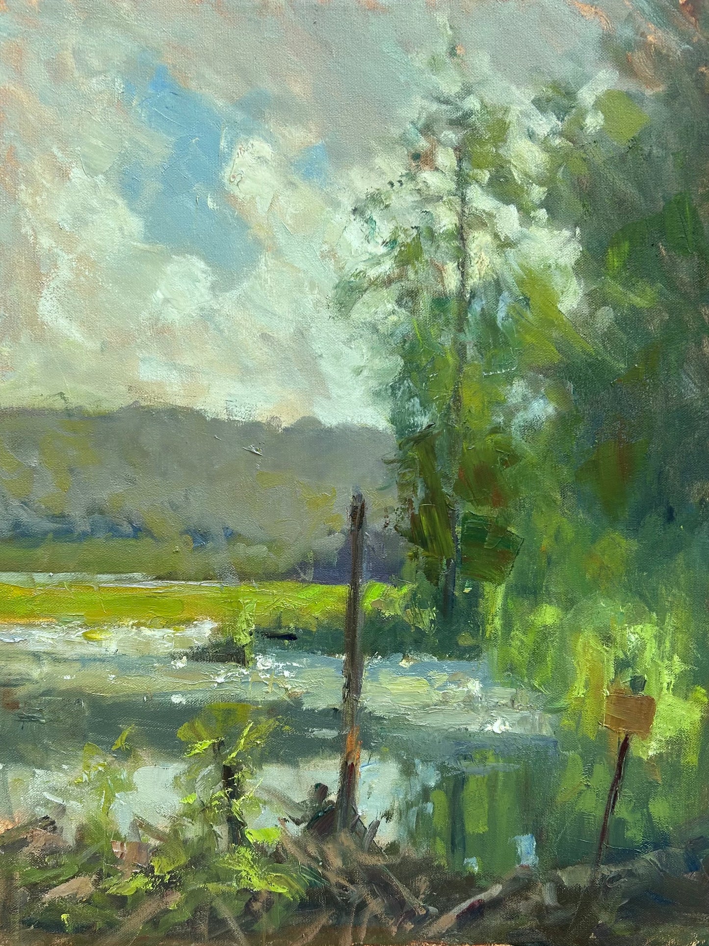 Beaver Dam (20 x 16 Inches)