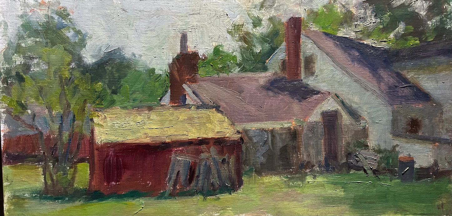 "Susan M.’s Back Yard" (10 x 20 Inches)