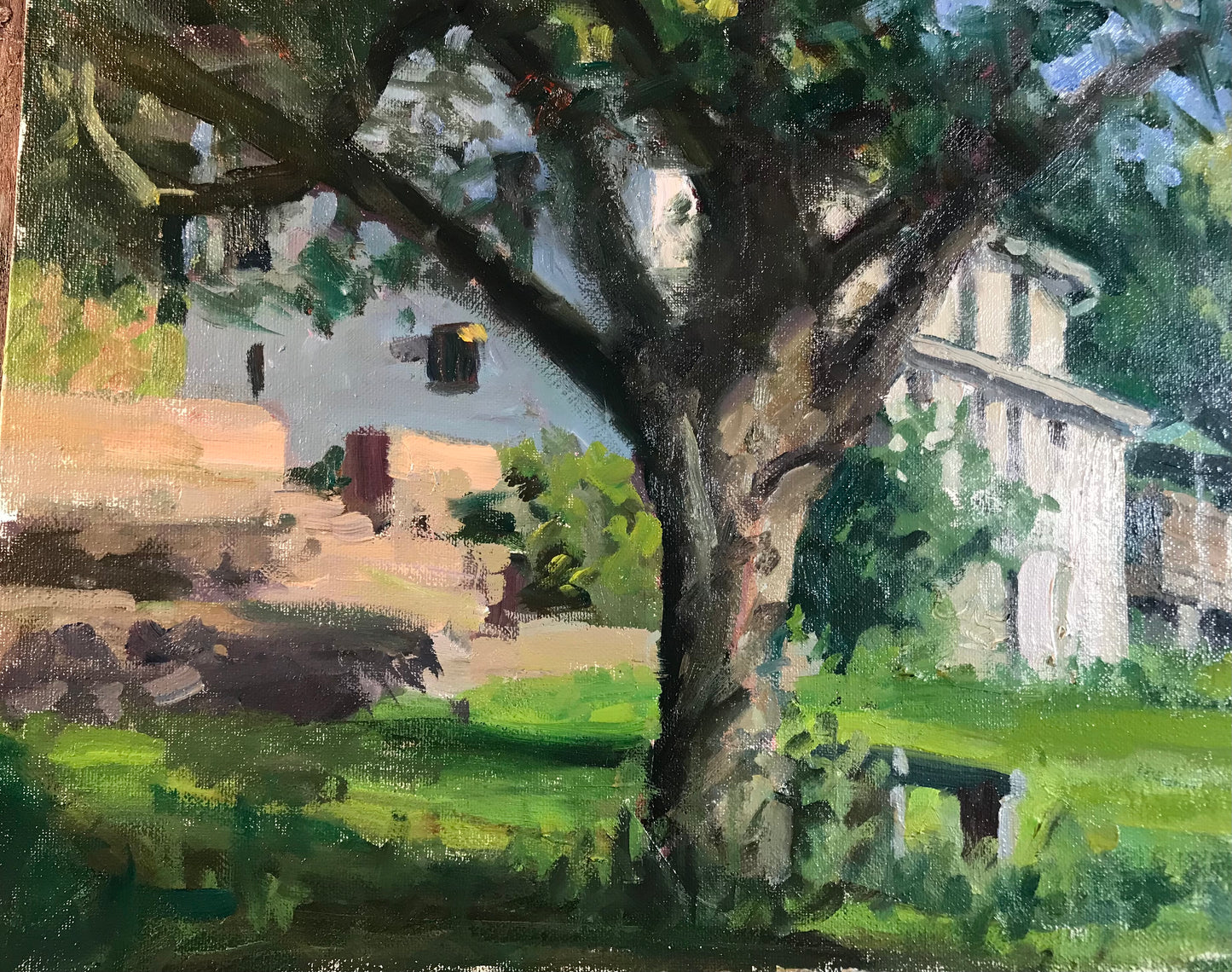 The Crabapple Tree (12 x 16 Inches)