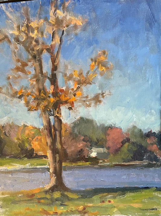 Tree at Mt. Tom (16 x 12 Inches)