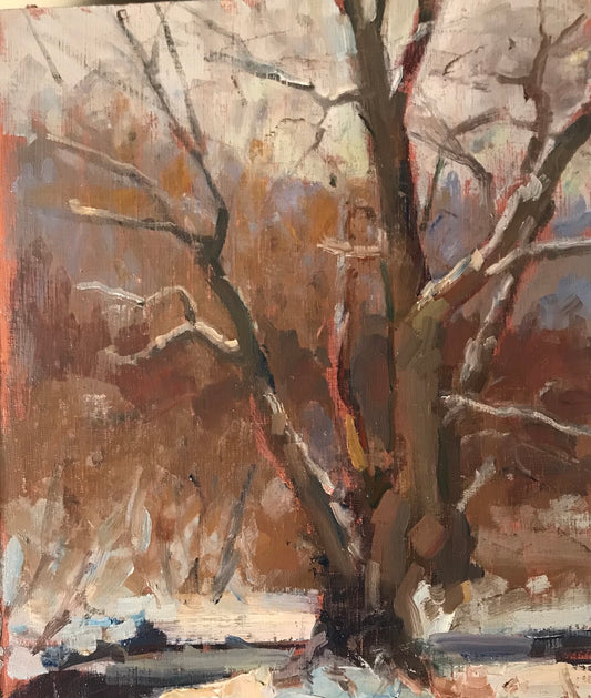 Willow in Winter (10 x 8 Inches)