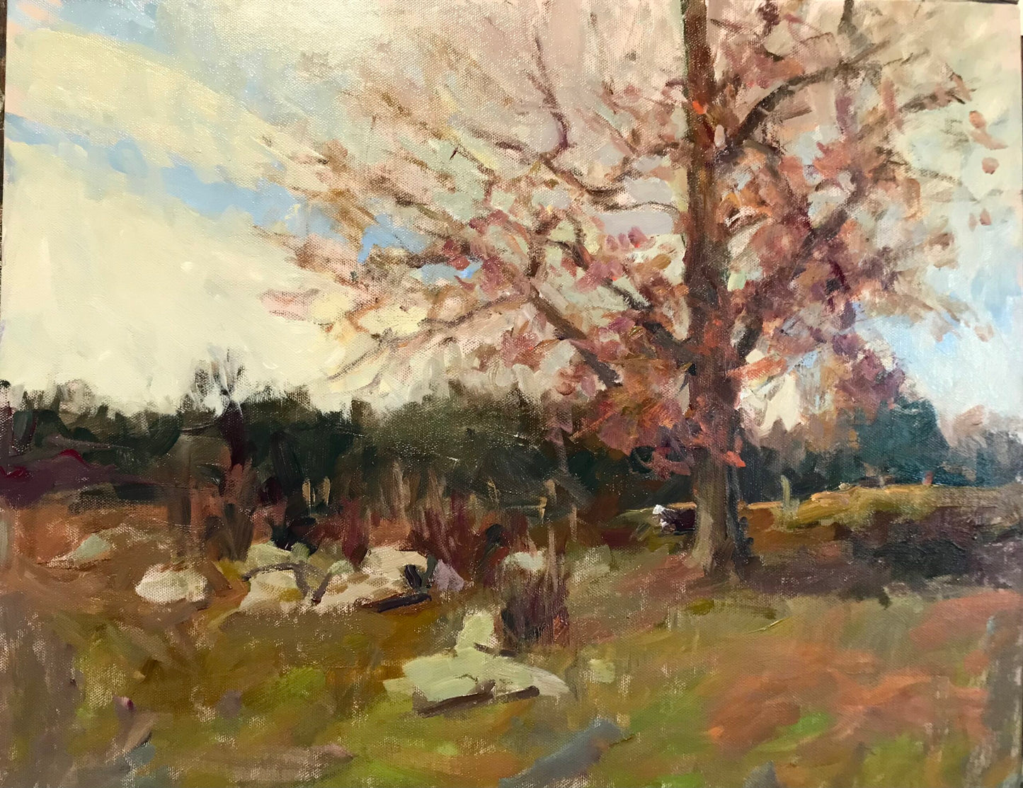 Abigail’s Oak  (16 x 20 Inches)