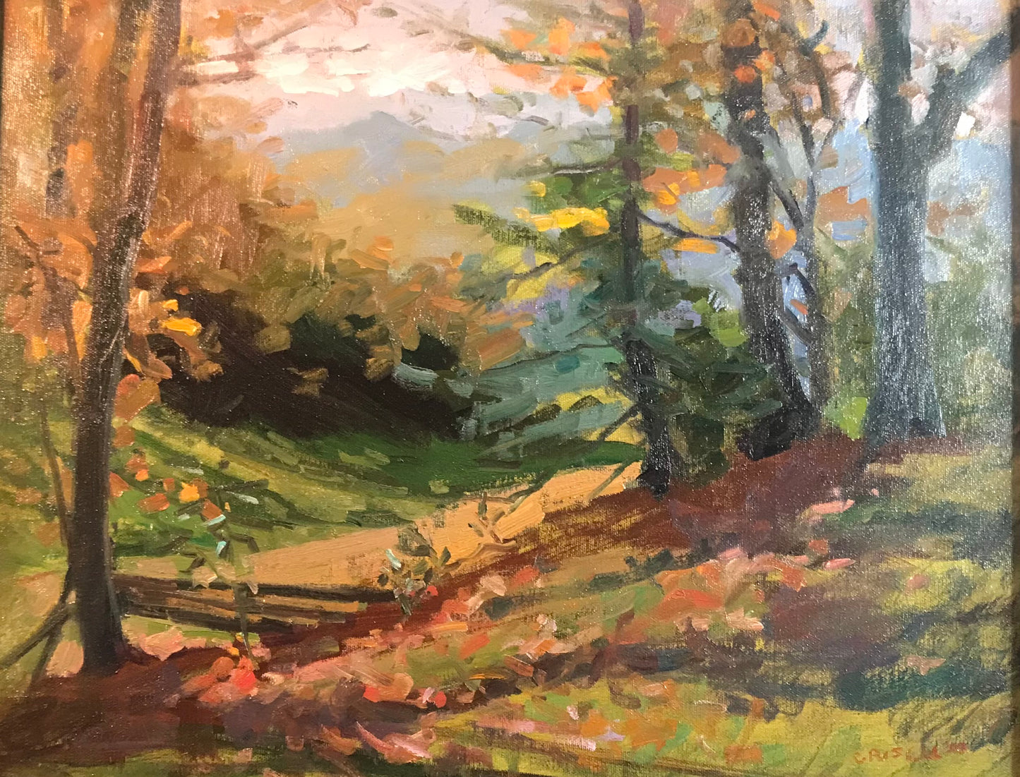Appalachian Landscape (16 x 20 Inches)