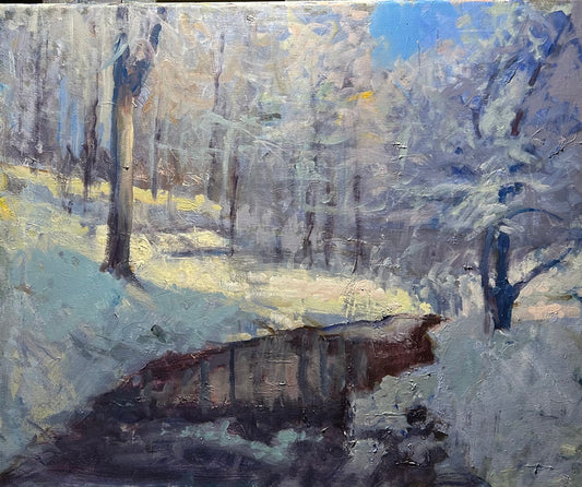 Brook in Morning Light (20 x 24 Inches)