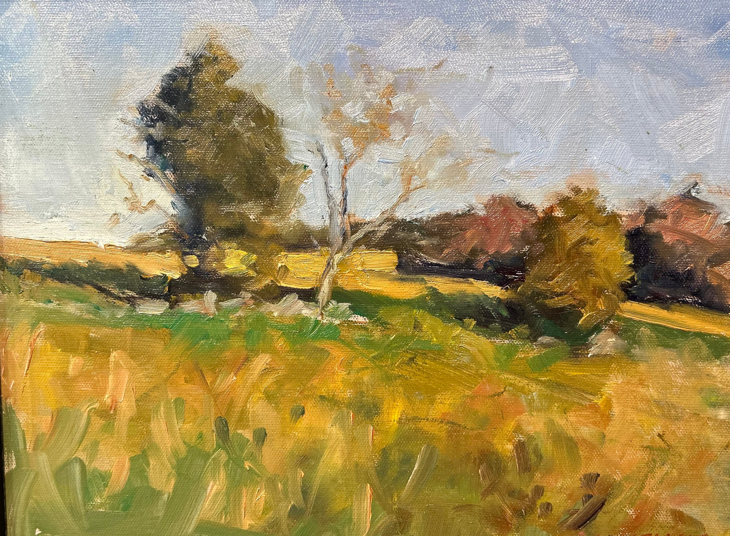 Distant Cornfield (11 x 14 Inches)