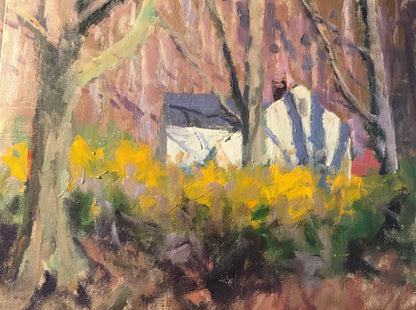 Forsythia Hedge (11 x 14 Inches)