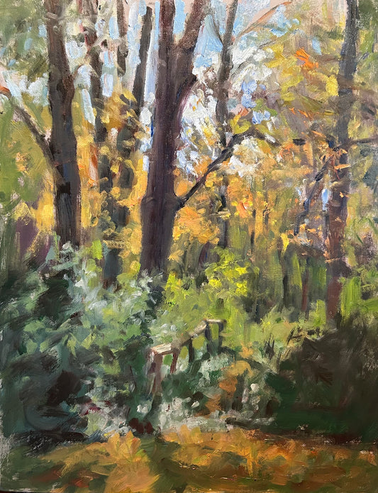 Overgrown Path (20 x 16 Inches)