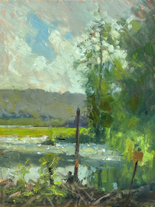 Beaver Dam (20 x 16 Inches)