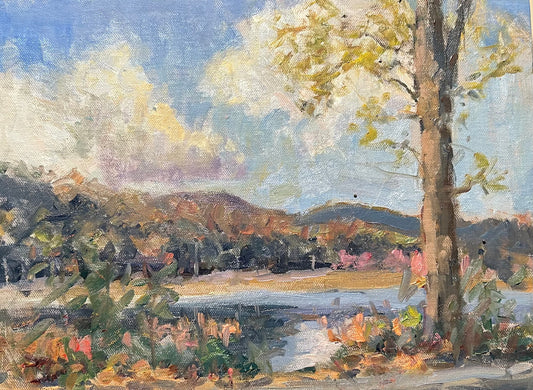 Looking Across Mud Pond (12 x 16 Inches)