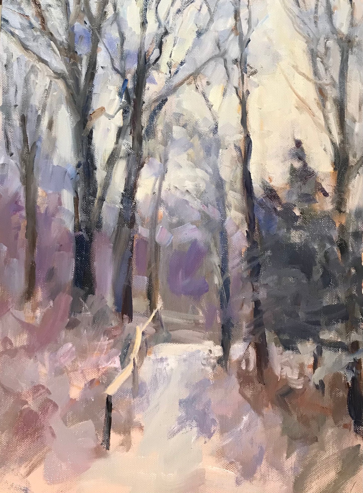 Maples and Path in Winter (16 x 12 inches)