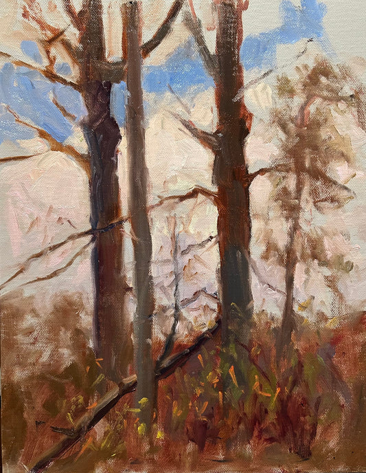 November Trees (14 x 11 Inches)