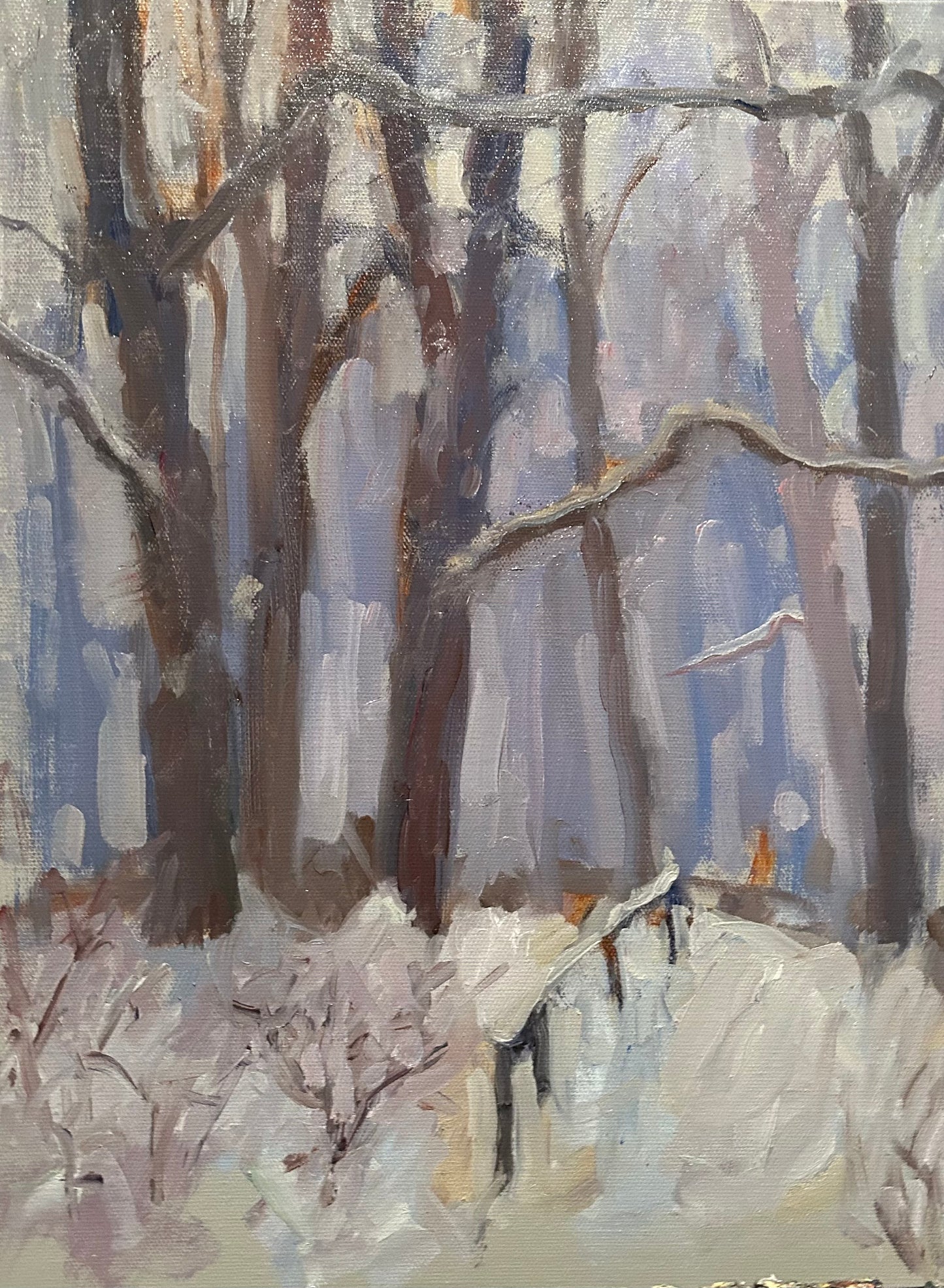 Outside My Porch, January (16 x 12 Inches)