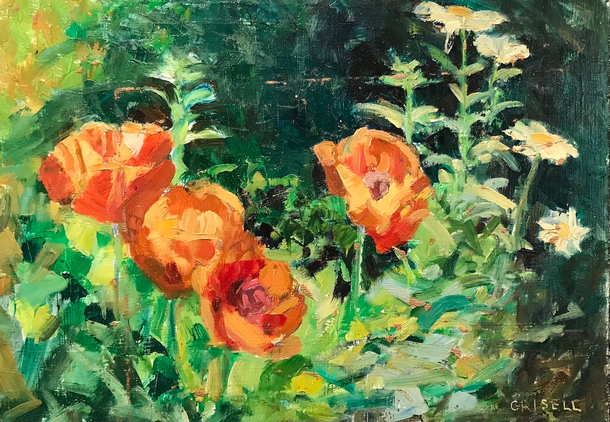 Red Poppies (12 x 16 Inches)