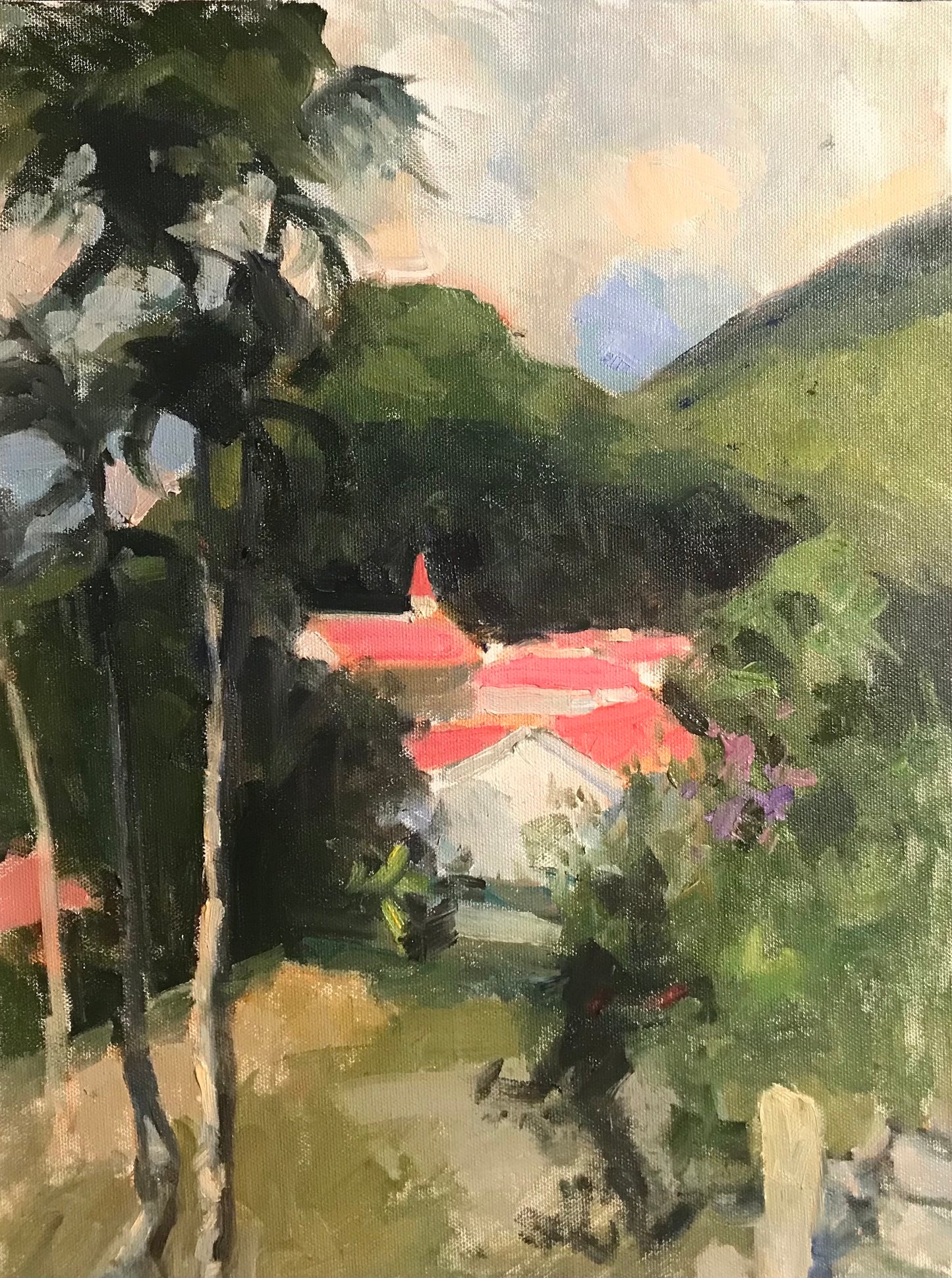 Red Roofs of Saba (16 x 12 Inches)