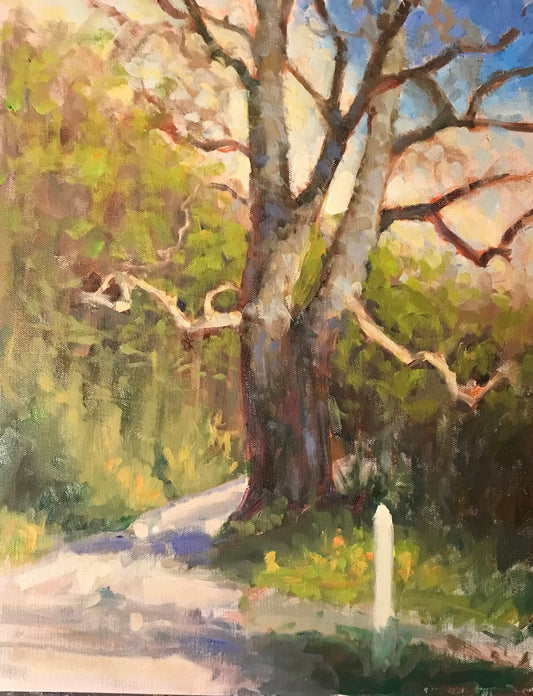 Sycamore at River Road (20 x 16 Inches)
