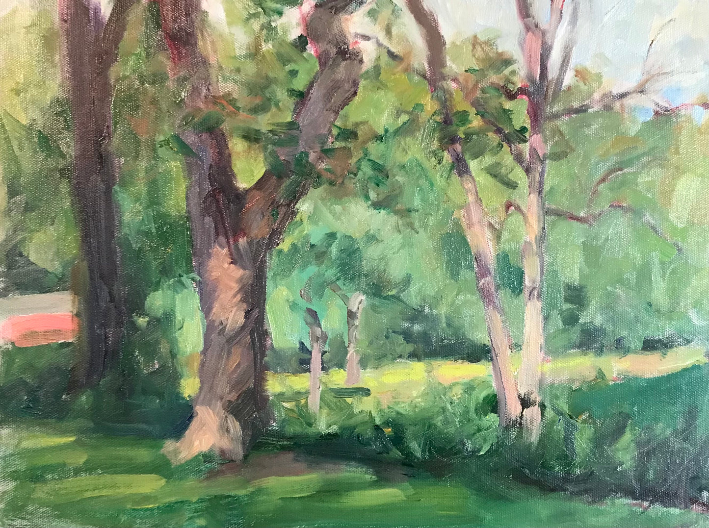 Trees in the Park (12 x 16 Inches)