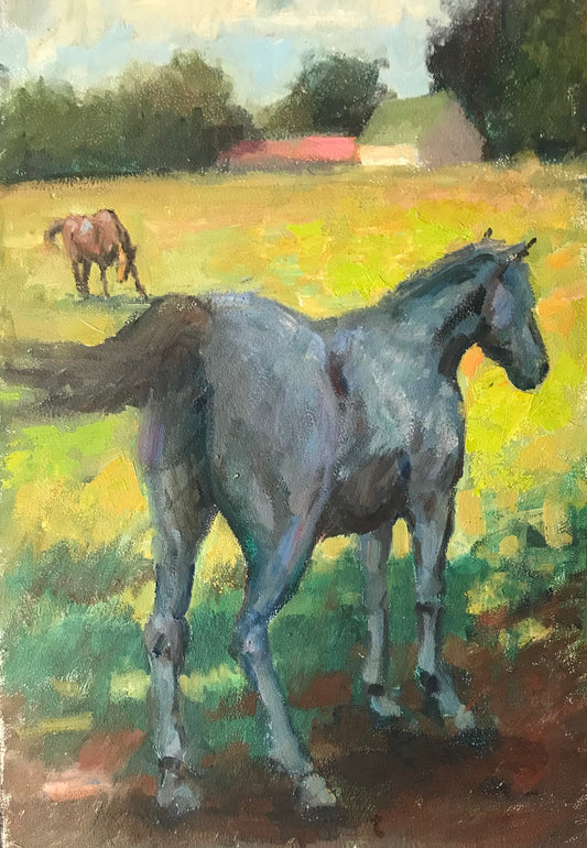 White Horse in Shadow (18 x 12 Inches)