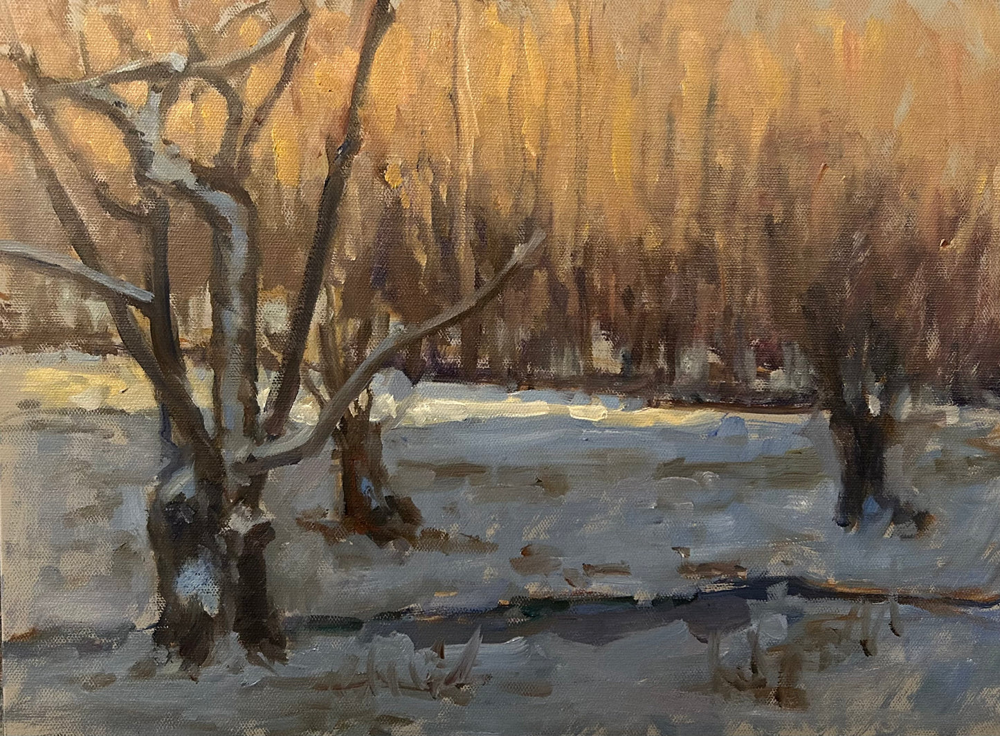 Willows in January (12 x 16 Inches)