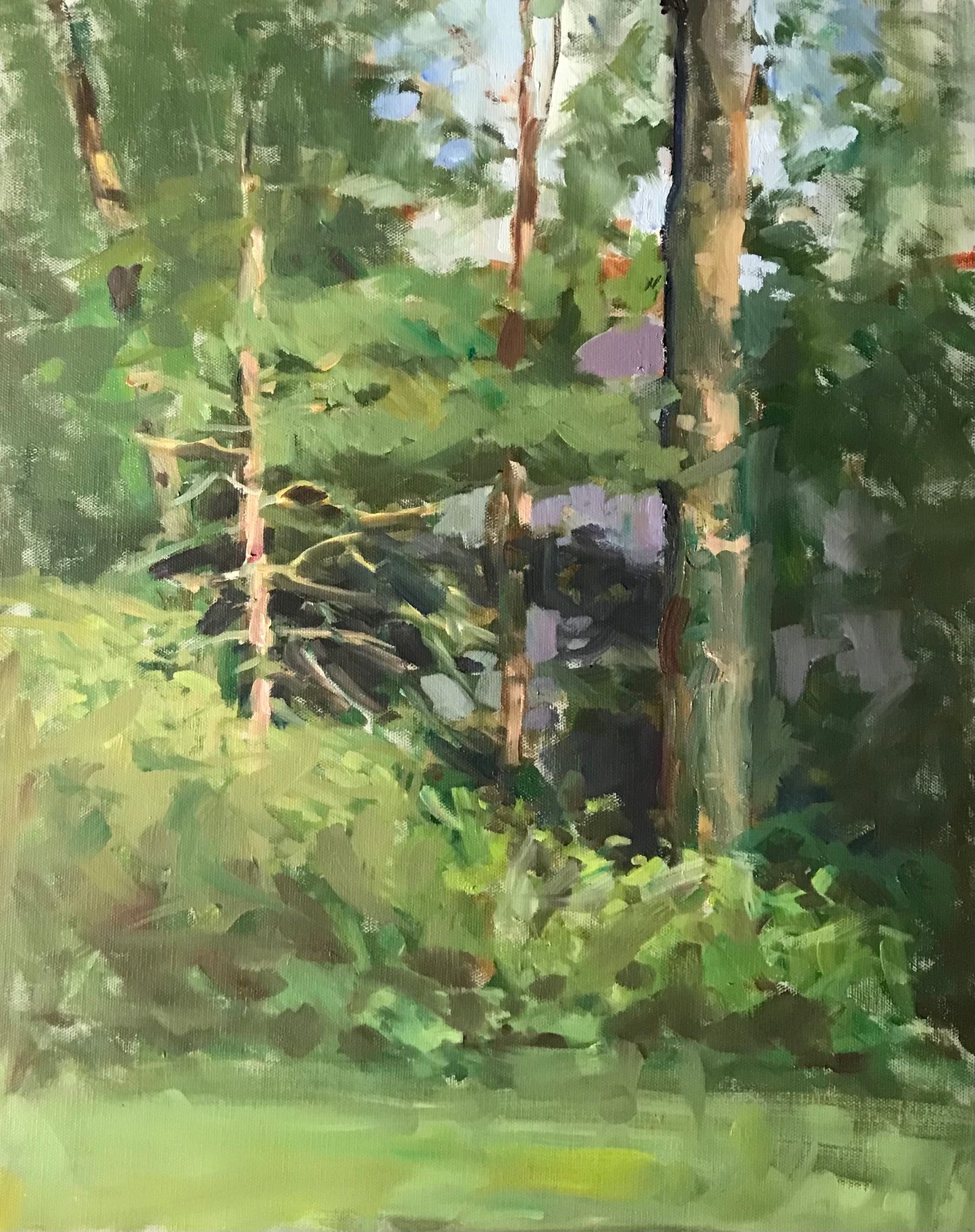 Woodland Study (20 x 16 Inches)